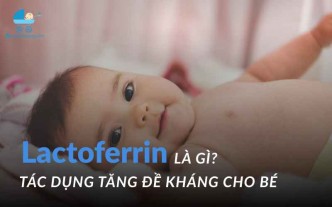 Lactoferrin là gì? Tác dụng tăng đề kháng cho bé
