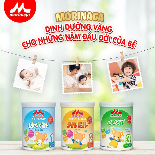 Sữa Morinaga nội địa Nhật số 9 cho trẻ 1-3 tuổi lon 800g
