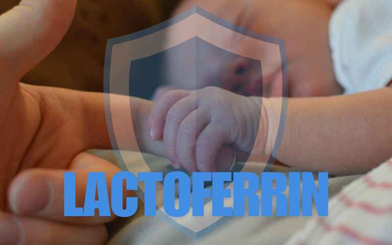 Tác dụng của Lactoferrin đối với trẻ nhỏ và mẹ bỉm
