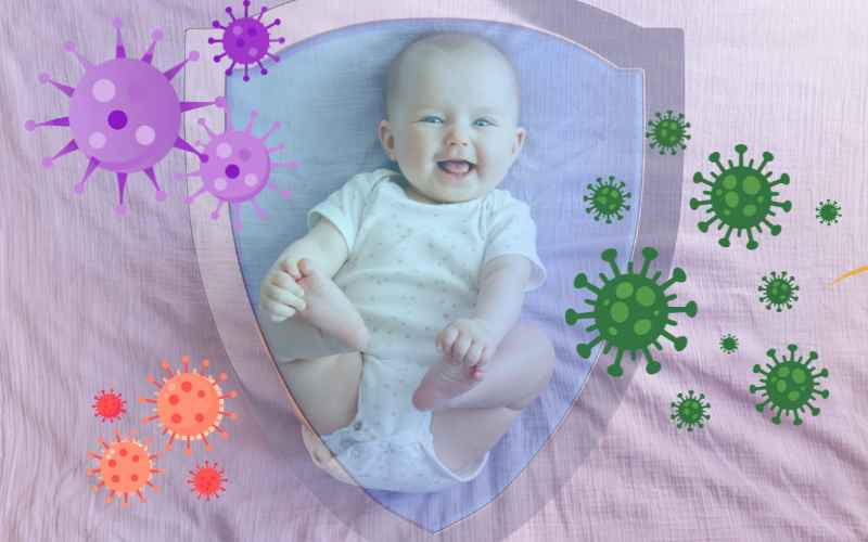 Apolactoferrina là gì? Dạng tồn tại tự nhiên của Lactoferrin