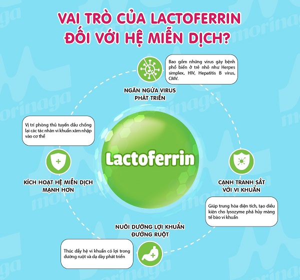 Mẹ chọn sữa Morinaga nhập khẩu hay Moringa nội địa